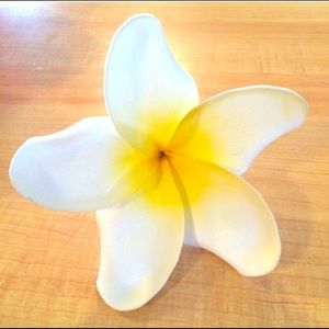 Hawaiian foam flower plumeria